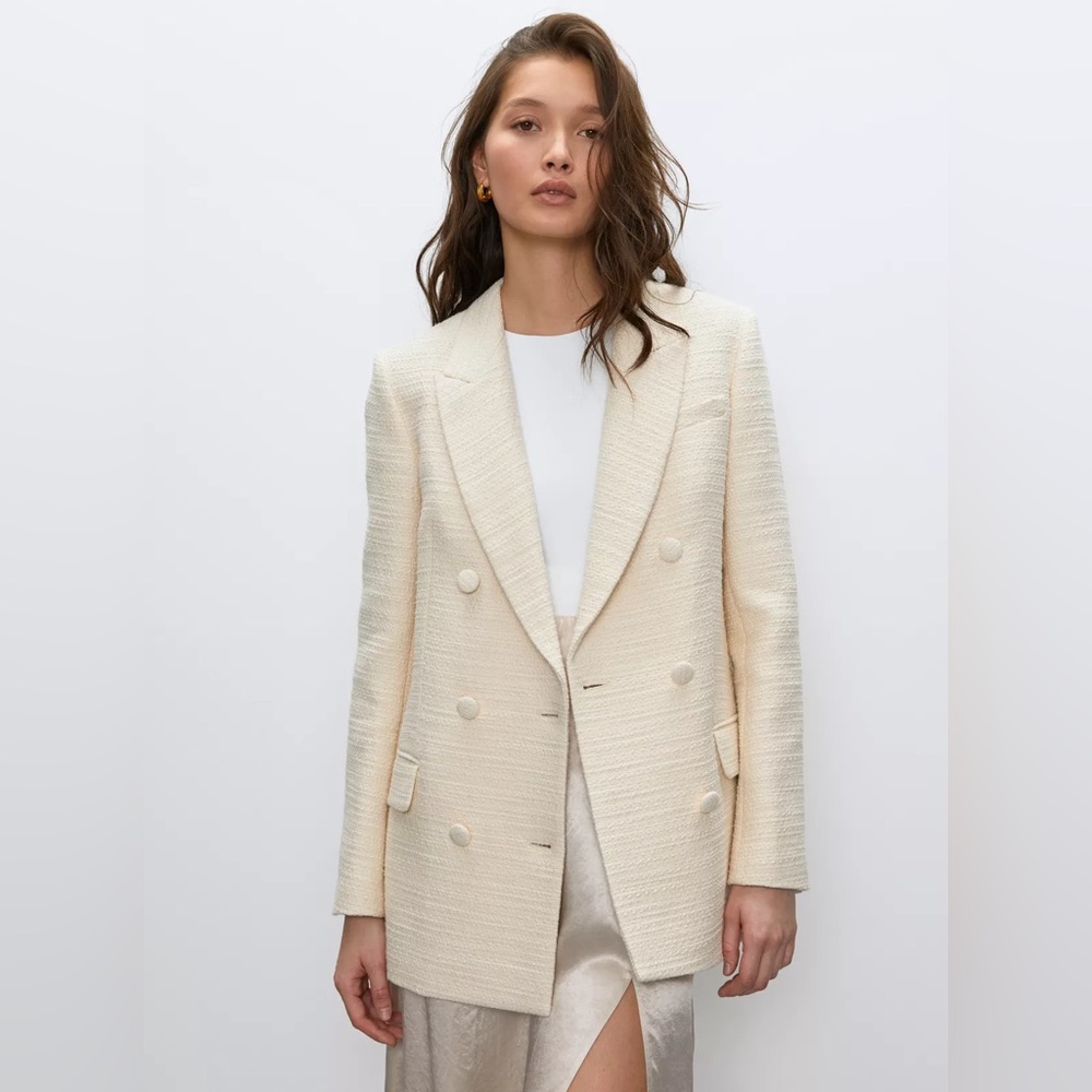Babaton Aritizia Blazer (limited edition)